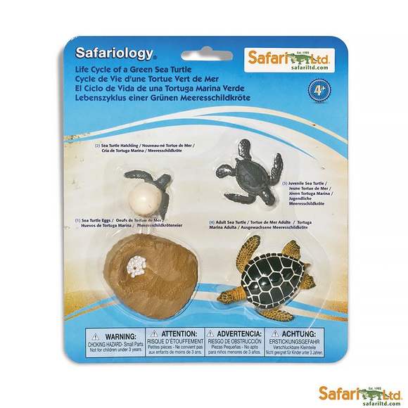 Набор фигурок Safari LTD "Жизненный цикл зеленой морской черепахи"