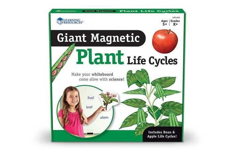 LER6045 Развивающая игрушка "Жизненный цикл растений", магнитный  (демонстрационный материал, 12 эле